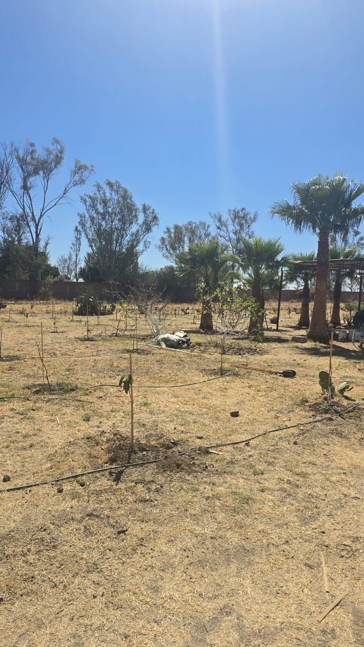 Terreno en venta en La Herradura — foto 1