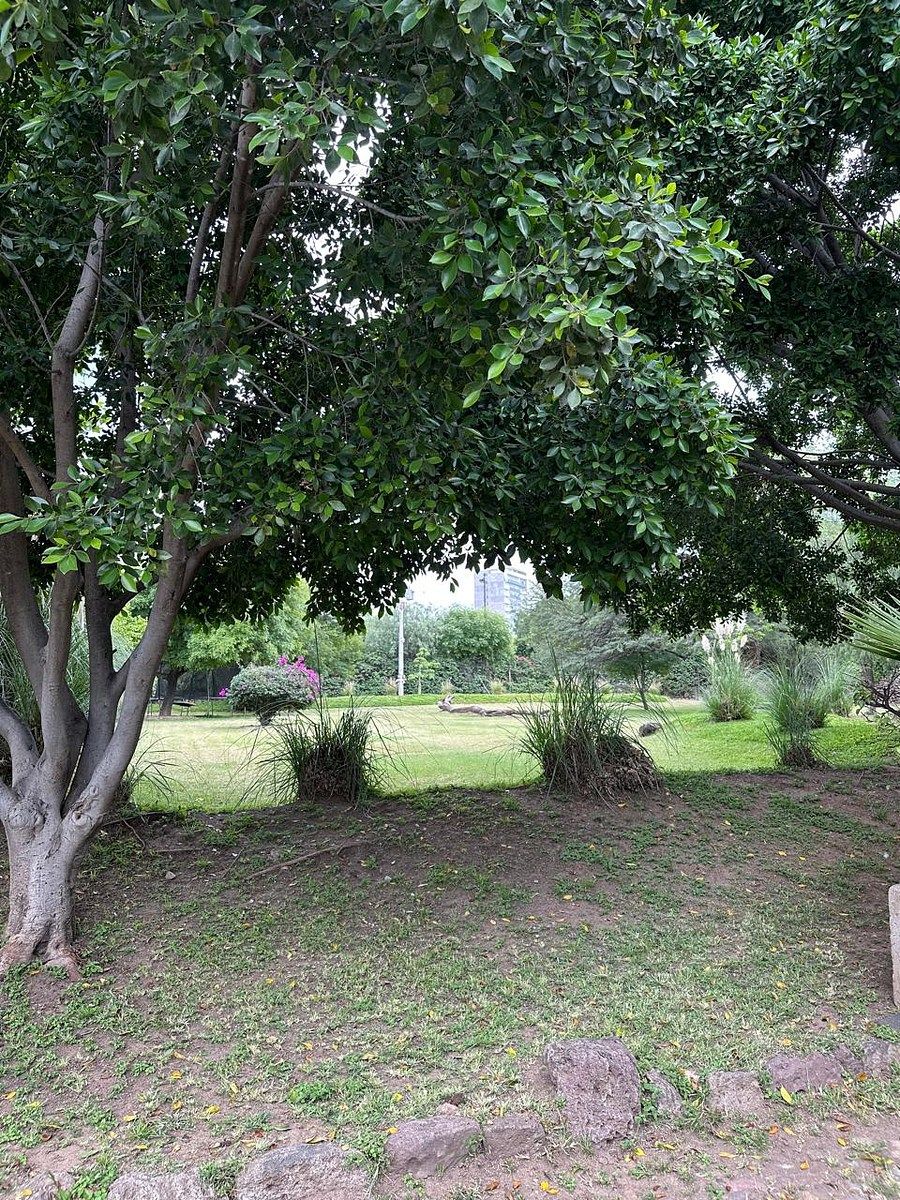 Terreno en venta en Pedregal del Carmen — foto 1