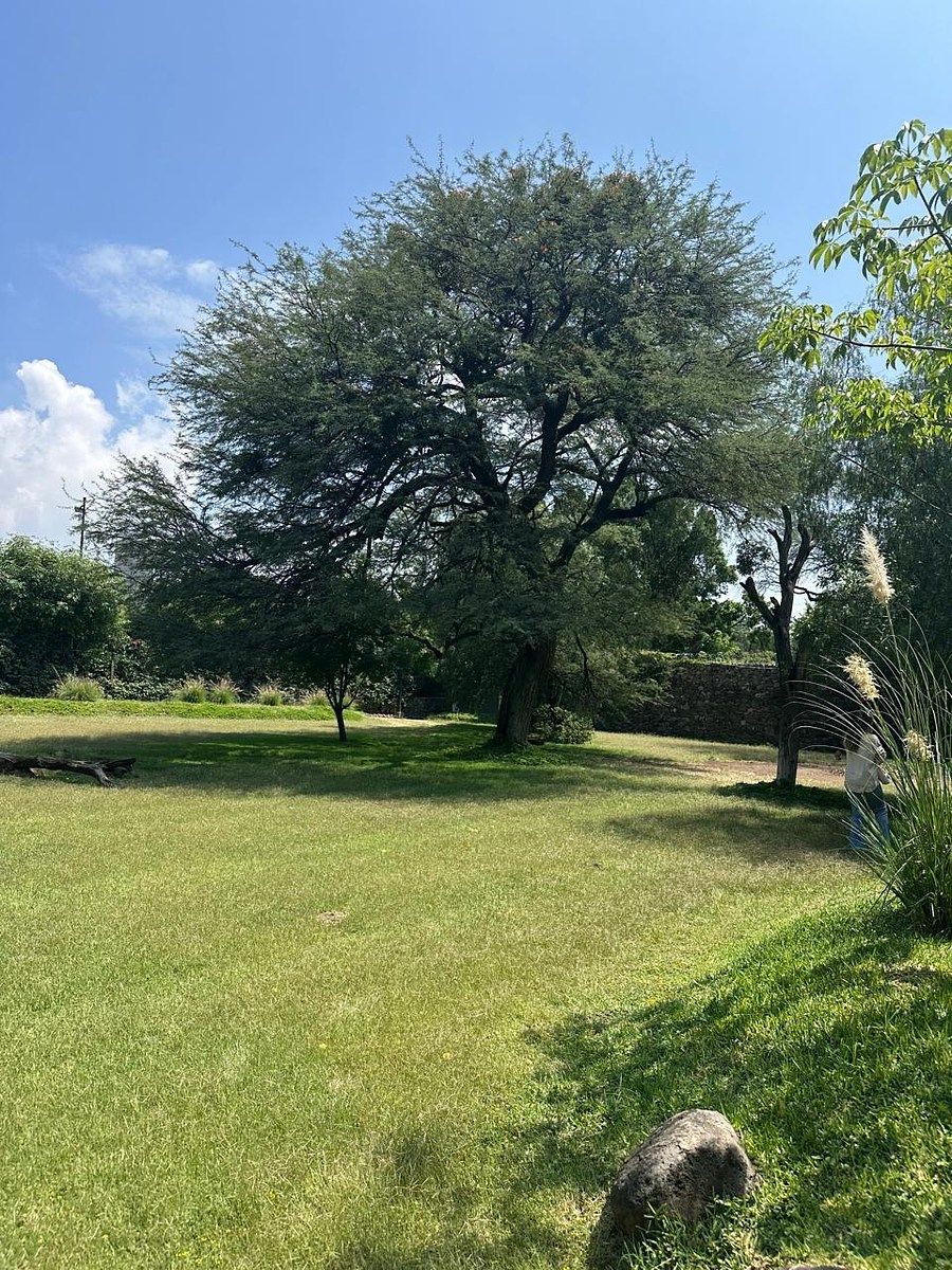 Terreno en venta en Pedregal del Carmen — foto 1